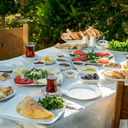 Nefes Hotel 5*